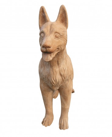 CANE LUPO